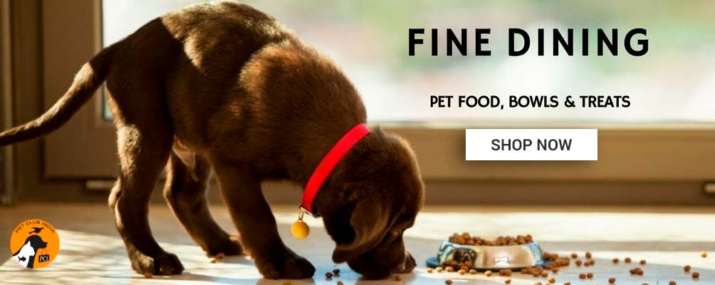 pet food online store